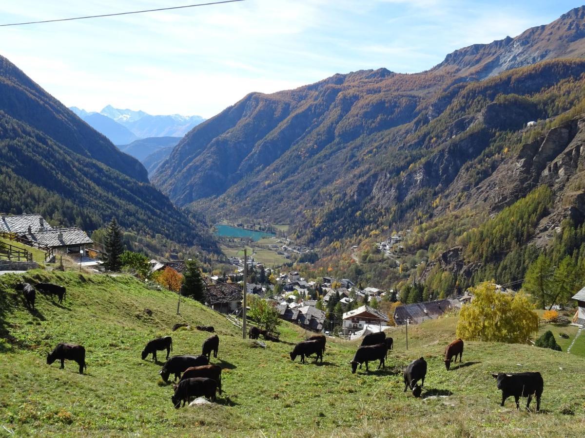 Hellochalet - Maison Rue De La Neige - Family Ski Holiday Walking Distance Skirun And Gondola Valtournenche Exterior photo